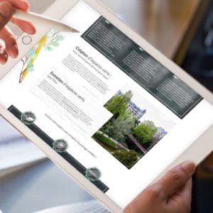 Lire la suite à propos de l’article Webdesign – Dervillers Paysage
